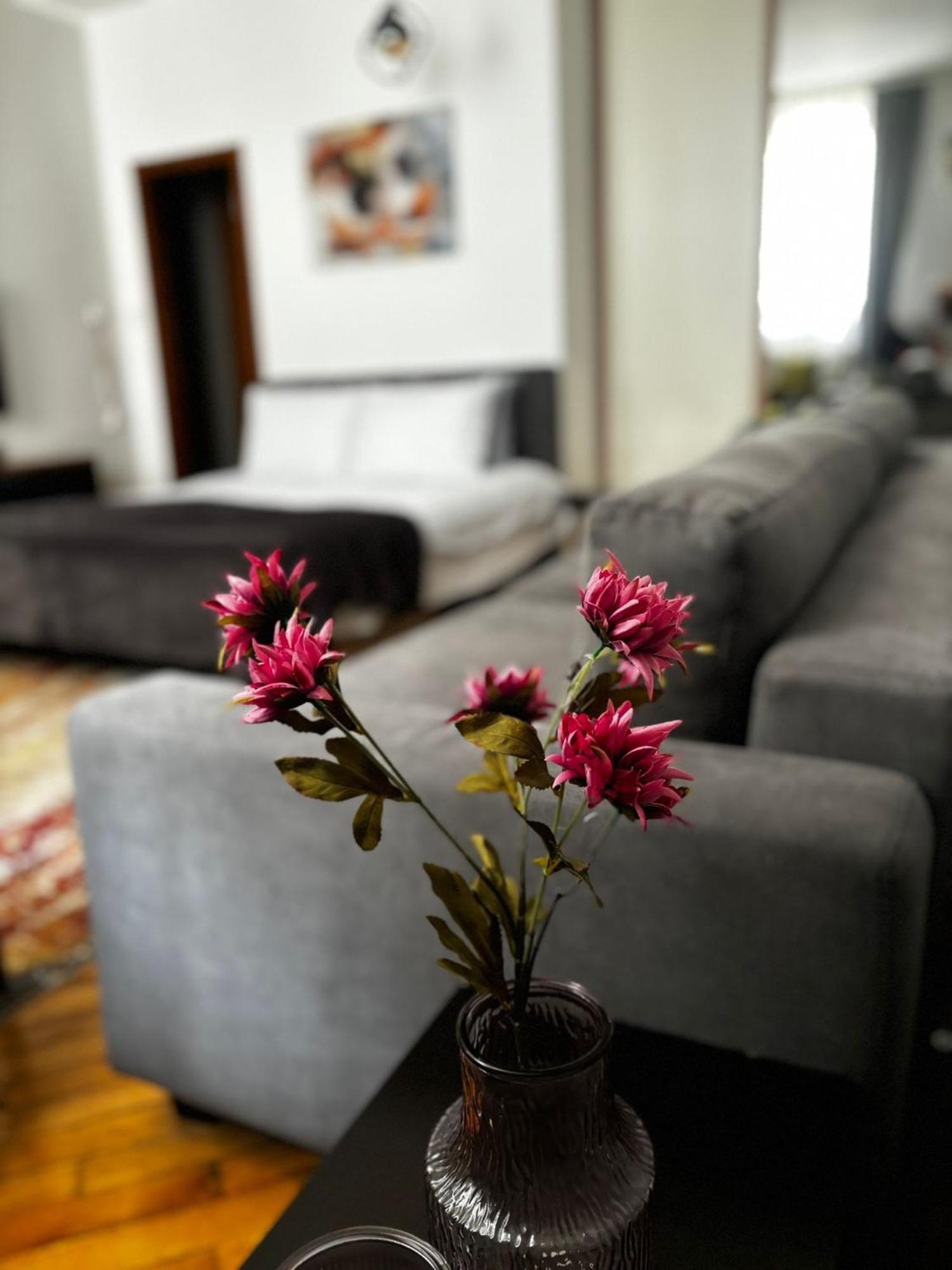 Apartment Mila Σαράγεβο Εξωτερικό φωτογραφία